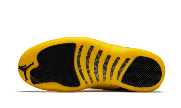 Black University Gold
