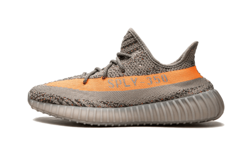 Beluga Reflective